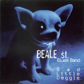 B a d Little Doggie