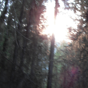 slow fall