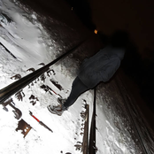 Executive Dysfunction