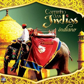Caminho Das Índias - Indiano