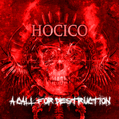 A Call For Destruction by Hocico