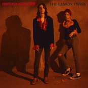 The Lemon Twigs: brothers of destruction