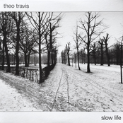 Chasing The Slow Train by Theo Travis