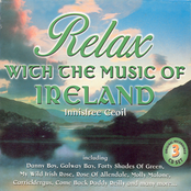 Down By The Sally Gardens by Innisfree Ceoil