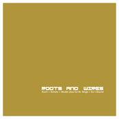 Roots & Wires