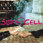 Caligula Syndrome by Soft Cell