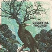 Celestial Wolves • Live at dunk!2021