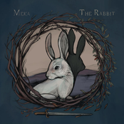 The Rabbit