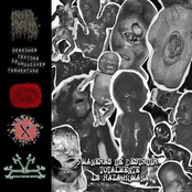 5 Maneras de Destruir Totalmente la Raza Humana