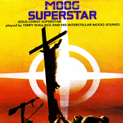 Moog Superstar