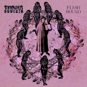 Remain and Sustain: Flesh Bound