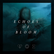 Echoes of Bloom