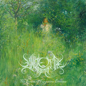 Cold Winds Fade Into Warm Tides