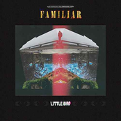 Little Bird: Familiar