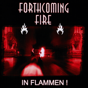 Schwarze Sizilianische Witwe by Forthcoming Fire