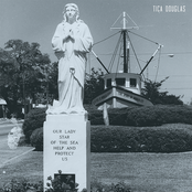 our lady star of the sea, help and protect us