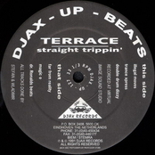 Illegal Moves by Terrace