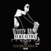 White Mink : Black Cotton 2