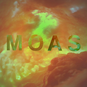 The Moas