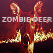 Scheiße Bär (Extended Version)