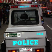 Bi-Polar Neversia - Justified Paranoia