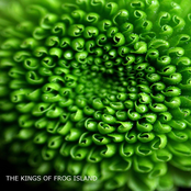 Sunburn by The Kings Of Frog Island