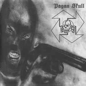 Vapaudenristi / Pagan Skull