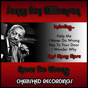 I Never Do Wrong by Sonny Boy Williamson