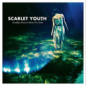 Catch Me When I Fall by Scarlet Youth