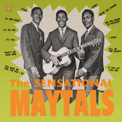 She Will Never Let Me Down by The Maytals