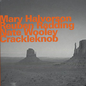 Under The Weight Of Aphorisms by Mary Halvorson