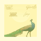 Solace of the Broken