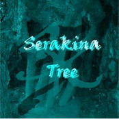 Green Vibes by Serakina