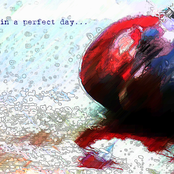 in a perfect day