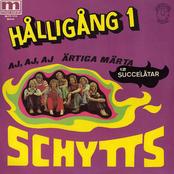 Sommarens Sång by Schytts