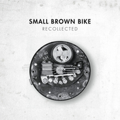 My Unanswered Whys by Small Brown Bike