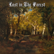 Lost in The Forest