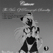 The View Of Pornographic Sexuality