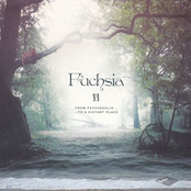 Fuchsia Song by Fuchsia
