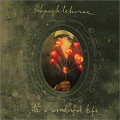 Piano Fire by Sparklehorse