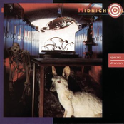 Blossom And Blood by Midnight Oil