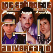 Mi Fracaso by Los Sabrosos Del Merengue