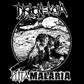 Diskonekcija / Puta Malaria