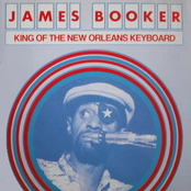 Rockin' Pneumonia by James Booker