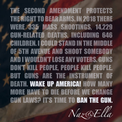 Wake Up America! (Ban the Gun)