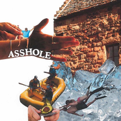 Asshole