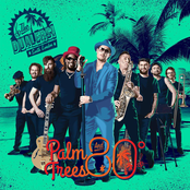 The Dualers: Palm Trees and 80 Degrees