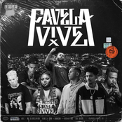 Favela Vive 4