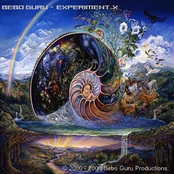 Experiment X
