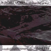 Metal Feedback by Negru Voda